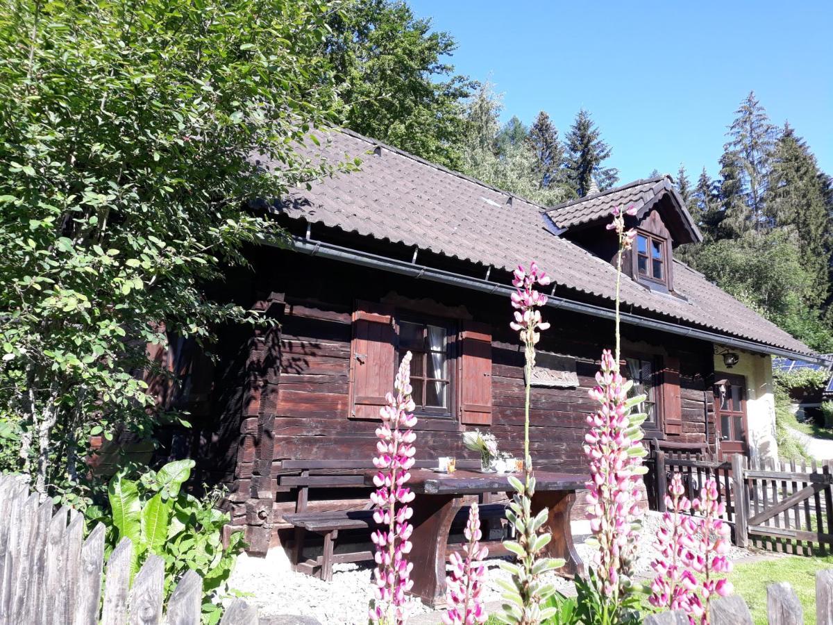 Umundumhuette Villa Katsch an der Mur Luaran gambar