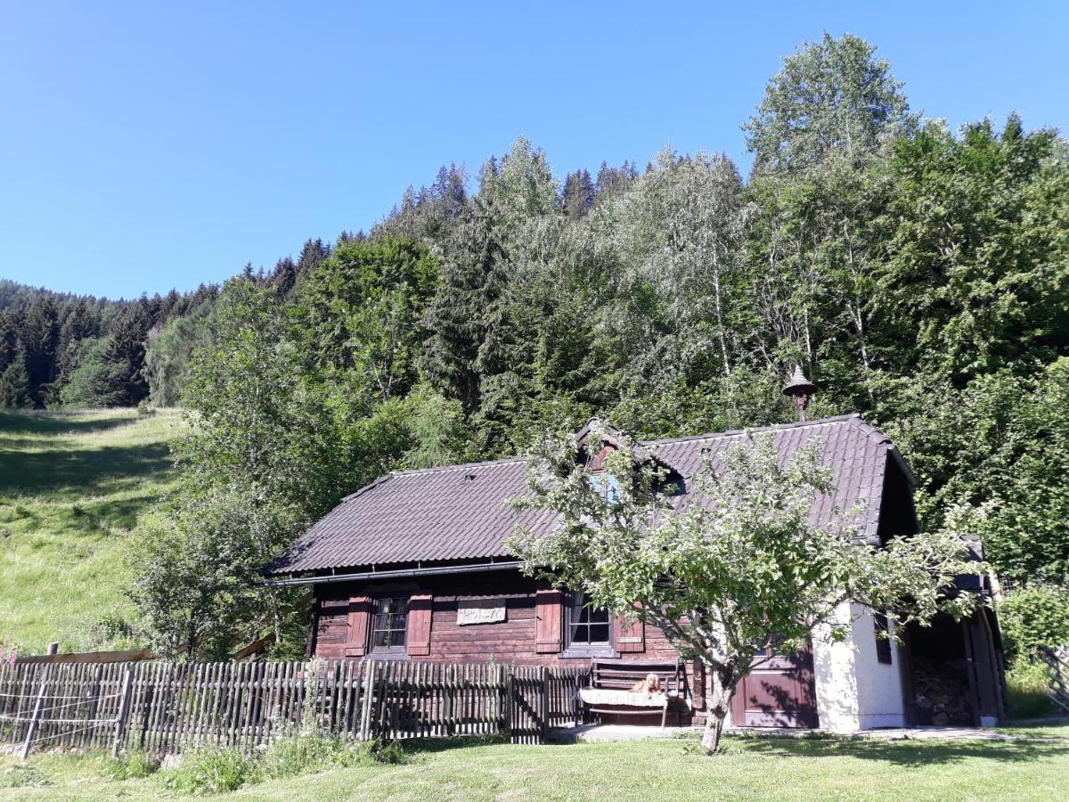 Umundumhuette Villa Katsch an der Mur Luaran gambar