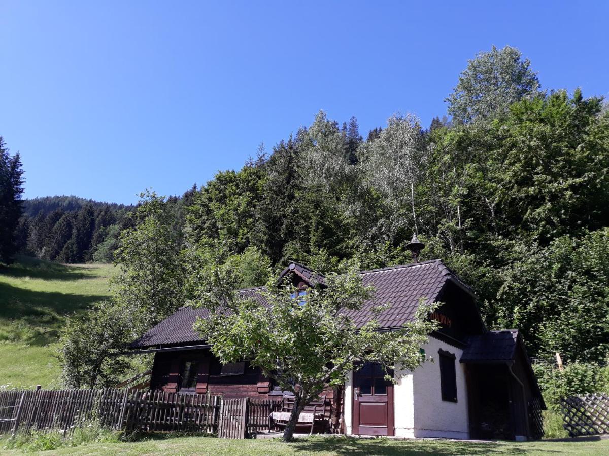 Umundumhuette Villa Katsch an der Mur Luaran gambar