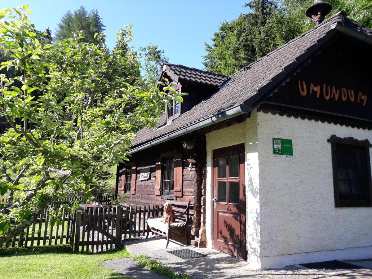Umundumhuette Villa Katsch an der Mur Luaran gambar