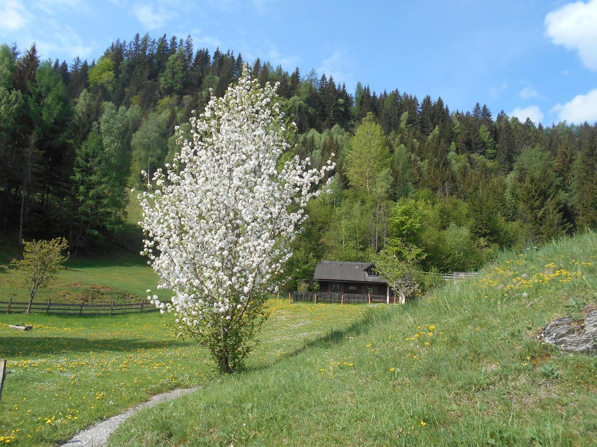 Umundumhuette Villa Katsch an der Mur Luaran gambar