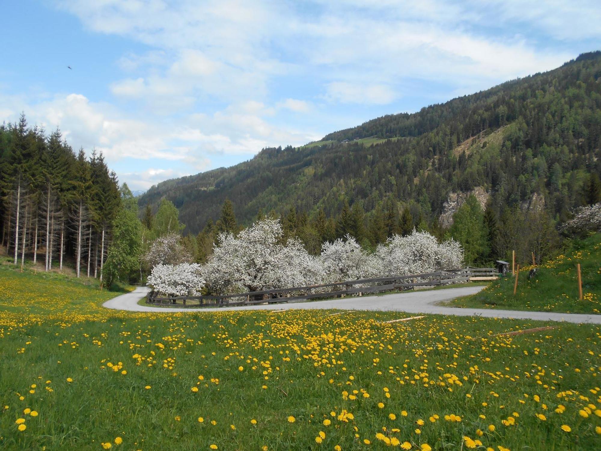 Umundumhuette Villa Katsch an der Mur Luaran gambar