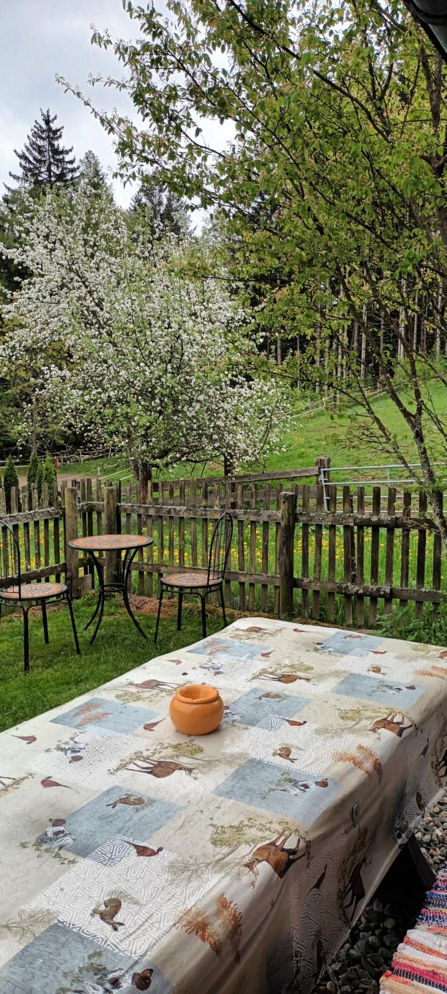 Umundumhuette Villa Katsch an der Mur Luaran gambar