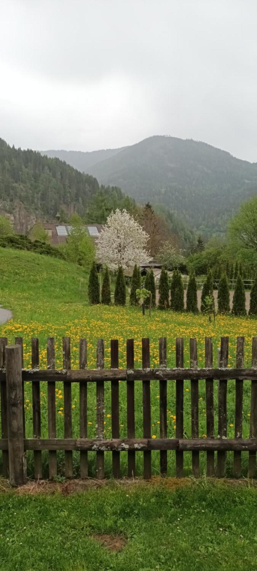 Umundumhuette Villa Katsch an der Mur Luaran gambar