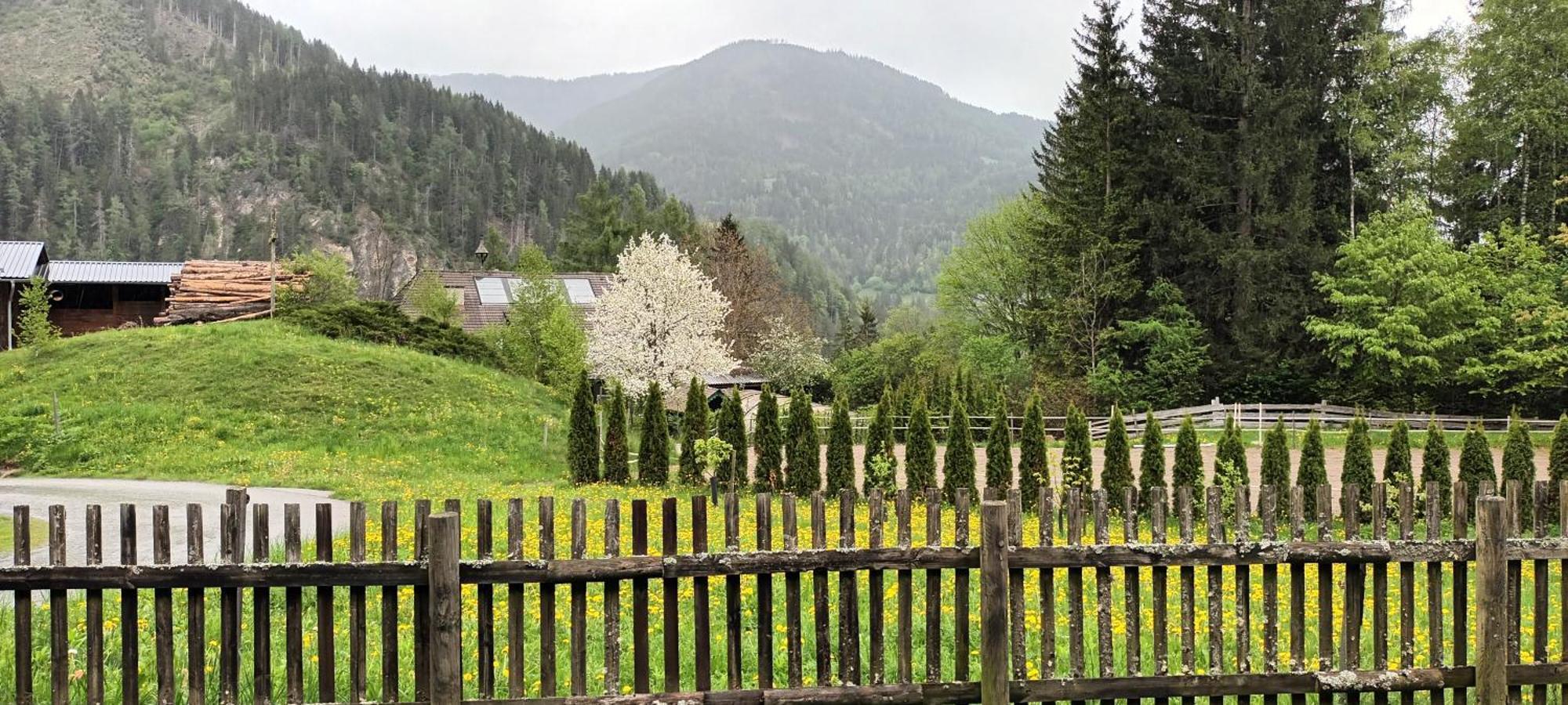 Umundumhuette Villa Katsch an der Mur Luaran gambar