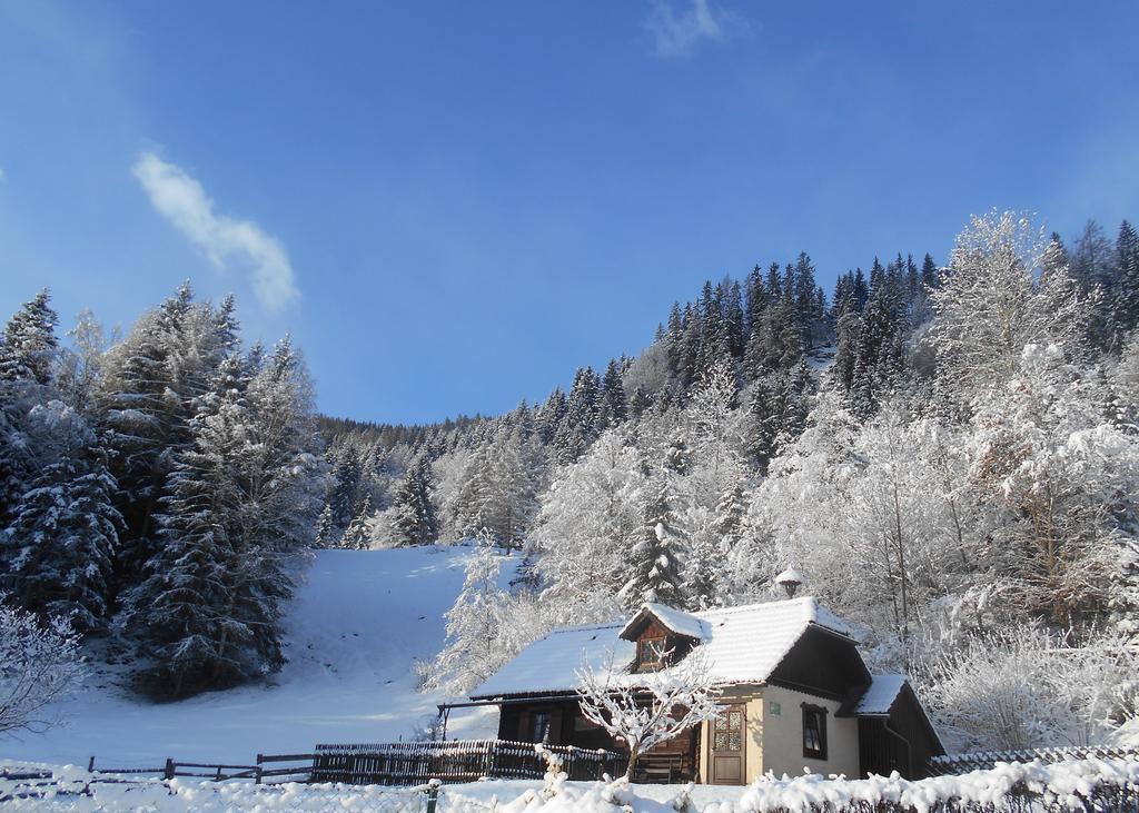 Umundumhuette Villa Katsch an der Mur Luaran gambar