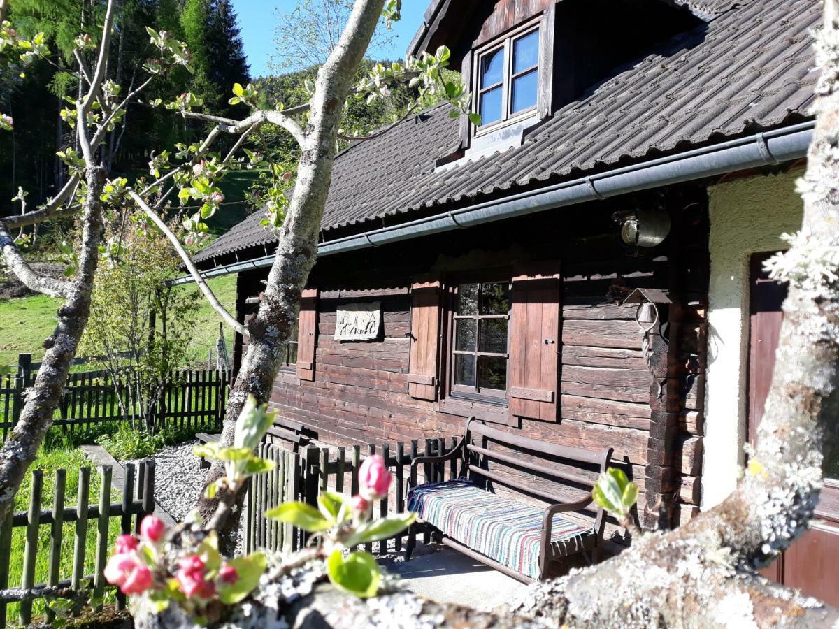 Umundumhuette Villa Katsch an der Mur Luaran gambar